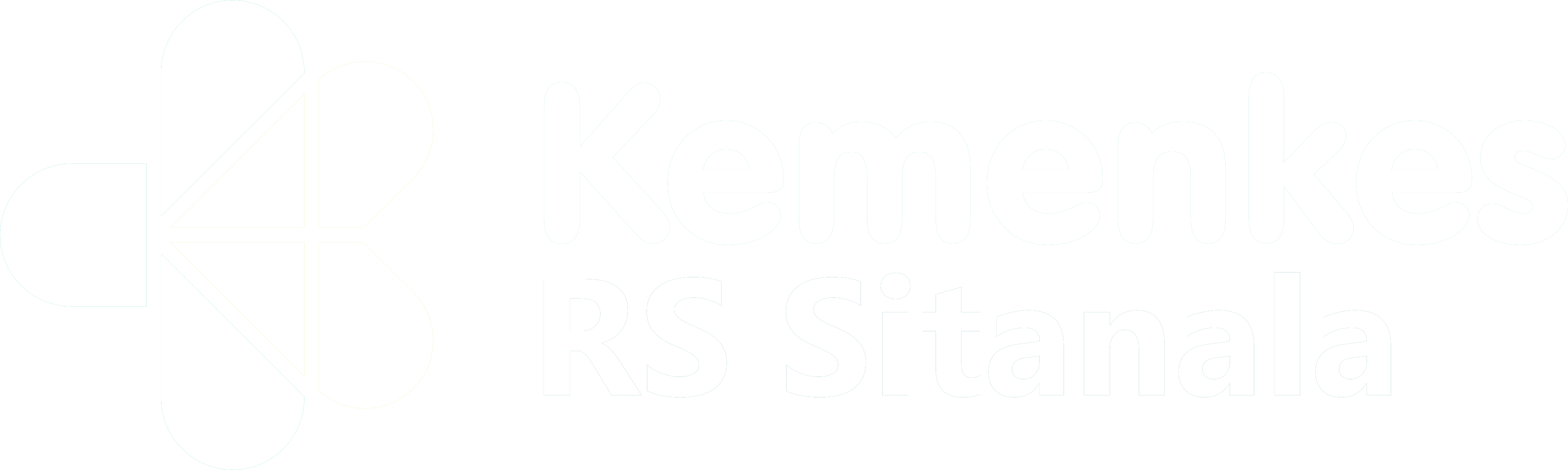 Logo RSUP Dr. Sitanala